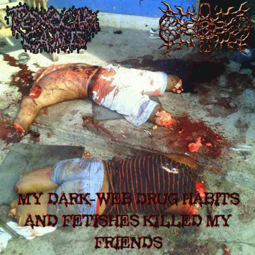 Toxocara Canis : My Dark​-​Web Drug Habits and Fetishes Killed My Friends